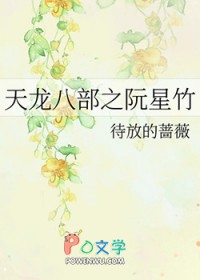 天龙八部之宿敌阮言
